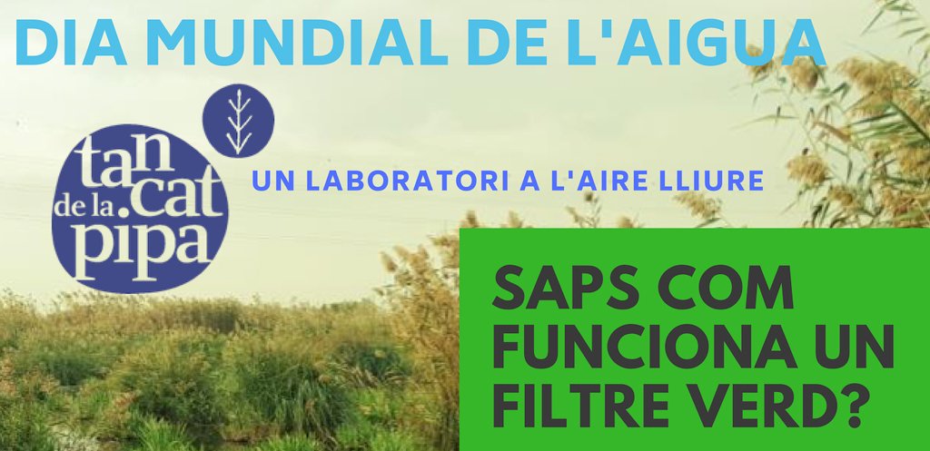 iiama_upv's tweet photo. 🤔Què és i com funciona un filtre verd🌱? com millora la qualitat de l´aigua 💧 de l´Albufera?
Si vols conéixer les respostes, no pots perdre´t la visita tècnica al @tancatdelapipa

 📅 23 de març
🕖 10:30 h. 
Més Info 👉https://t.co/Pbmq1cZ0SI #DiaMundialdelAigua https://t.co/mIZQecX8DO