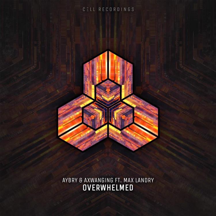 Out this Friday❗️ 
Pre-Save now -> symdistro.lnk.to/Overwhelmed_Ma…