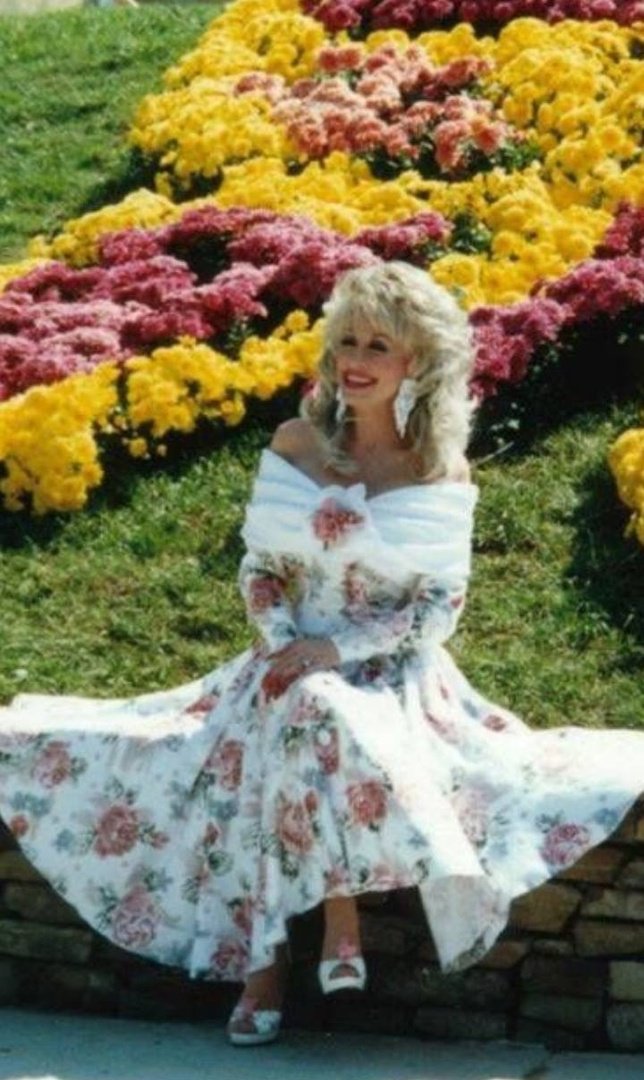 DollyParton's tweet photo. The original super bloom! https://t.co/NaddvBxKcK