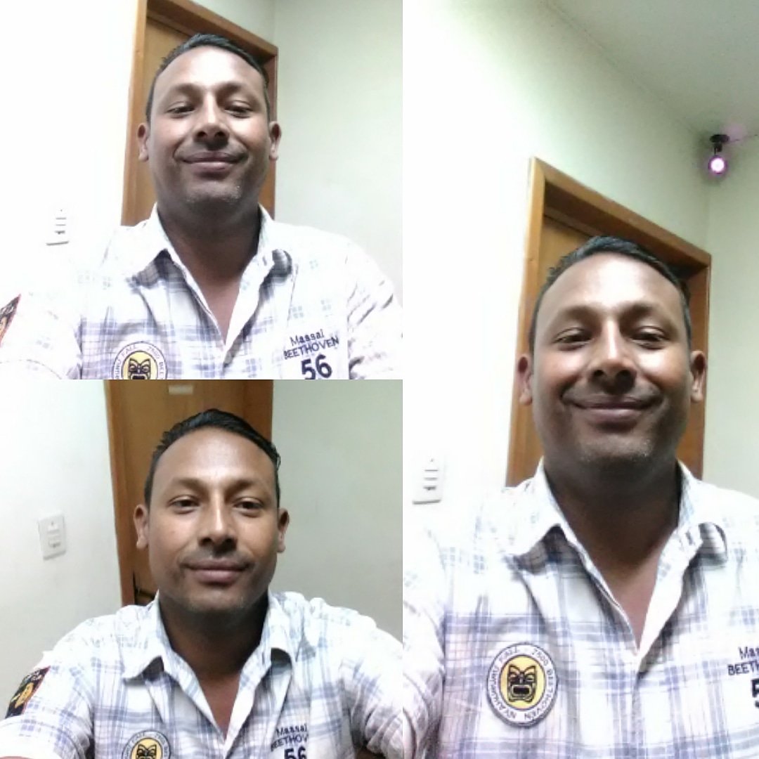 la_pingo tweet picture