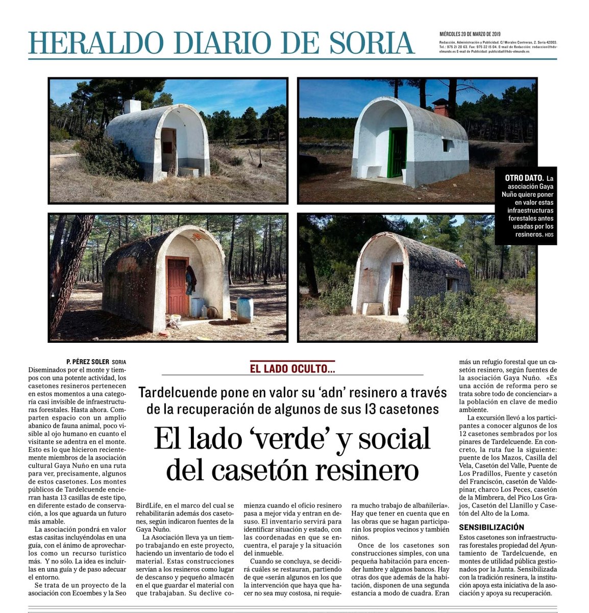 El @diariodesoria @heraldosoria de hoy se hace eco de nuestras actividades dentro del Proyecto #Libera. #CasetonesResineros en #Tardelcuende. @dipsoria @ecoembes @SEO_BirdLife @wuemes @nievesrey @ecoliever @AngelHervella @ElenaLpezRey @pablo_marinhas @mmarsaenzb @Olimpia_GS