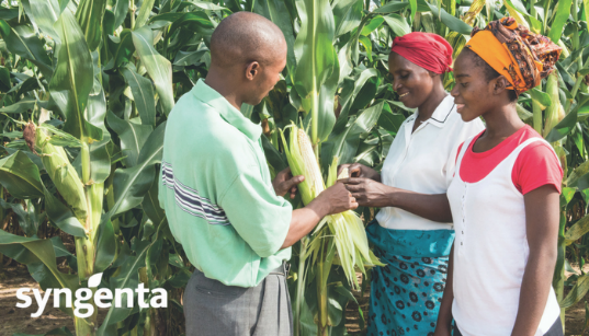 Syngenta's tweet photo. We’re empowering #smallholders through access to #seeds. We believe improving small scale growers’ access to healthy, productive seeds helps feed a growing world: https://t.co/PZz53QWIz3
#ATSIndex https://t.co/hxDZ25DjEm