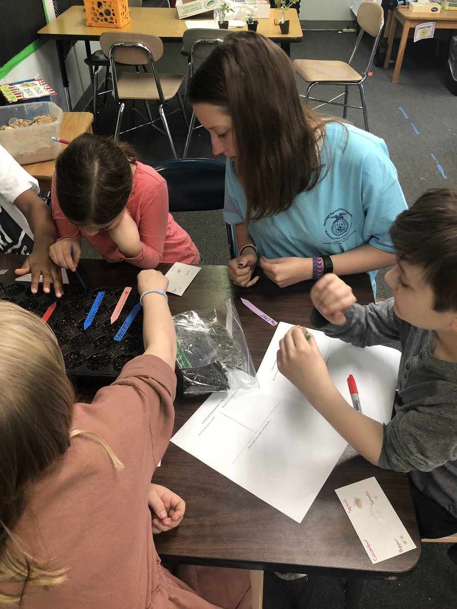MSAustin110's tweet photo. These third graders are so excited to have our Heritage High School FFA PALs back with us today to start seeds. @HeritageFFA #hurricanesandhuskies #connectingthroughscience #plantingpartnerships https://t.co/35PzRdwlBZ
