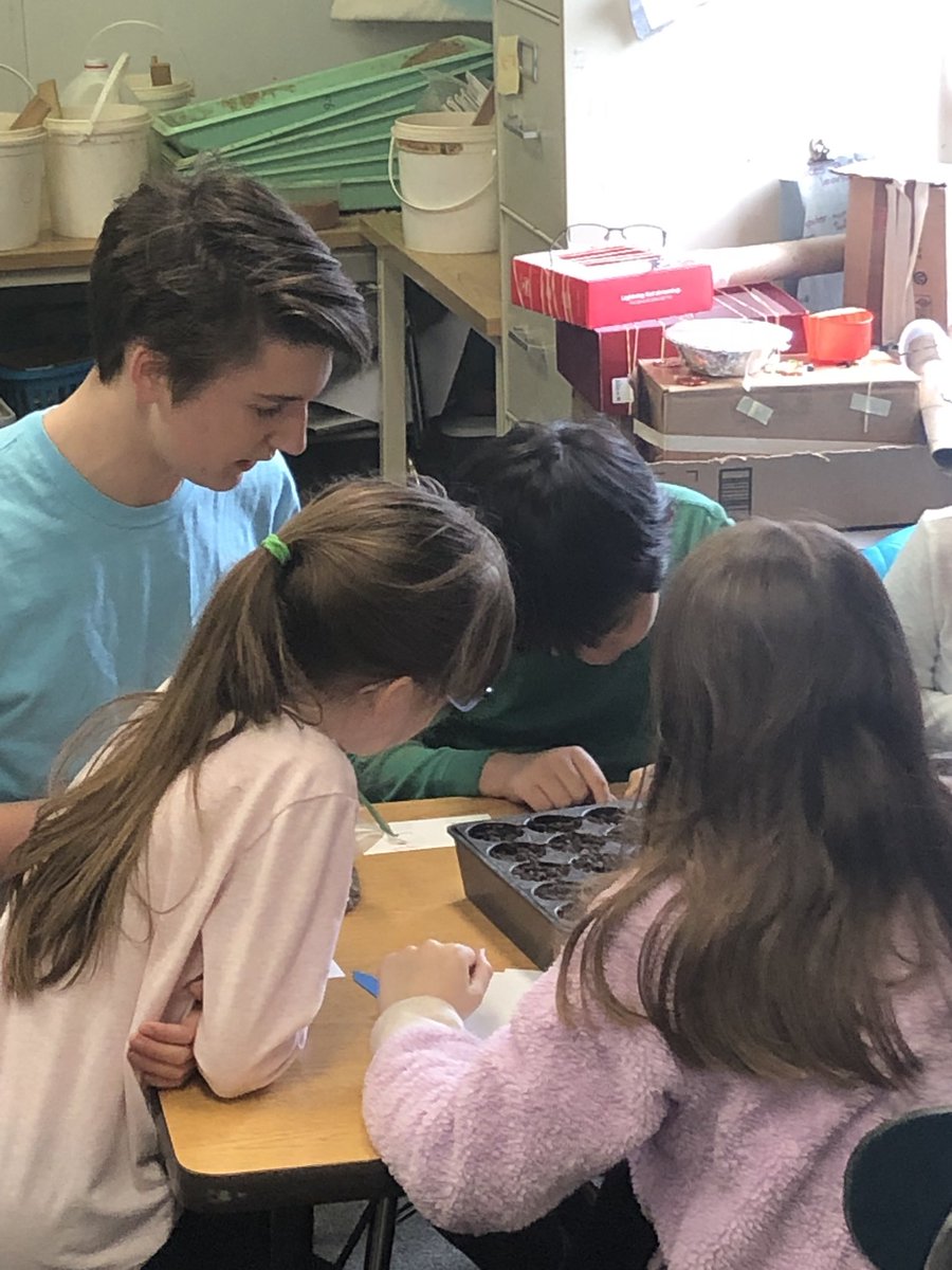 MSAustin110's tweet photo. These third graders are so excited to have our Heritage High School FFA PALs back with us today to start seeds. @HeritageFFA #hurricanesandhuskies #connectingthroughscience #plantingpartnerships https://t.co/35PzRdwlBZ