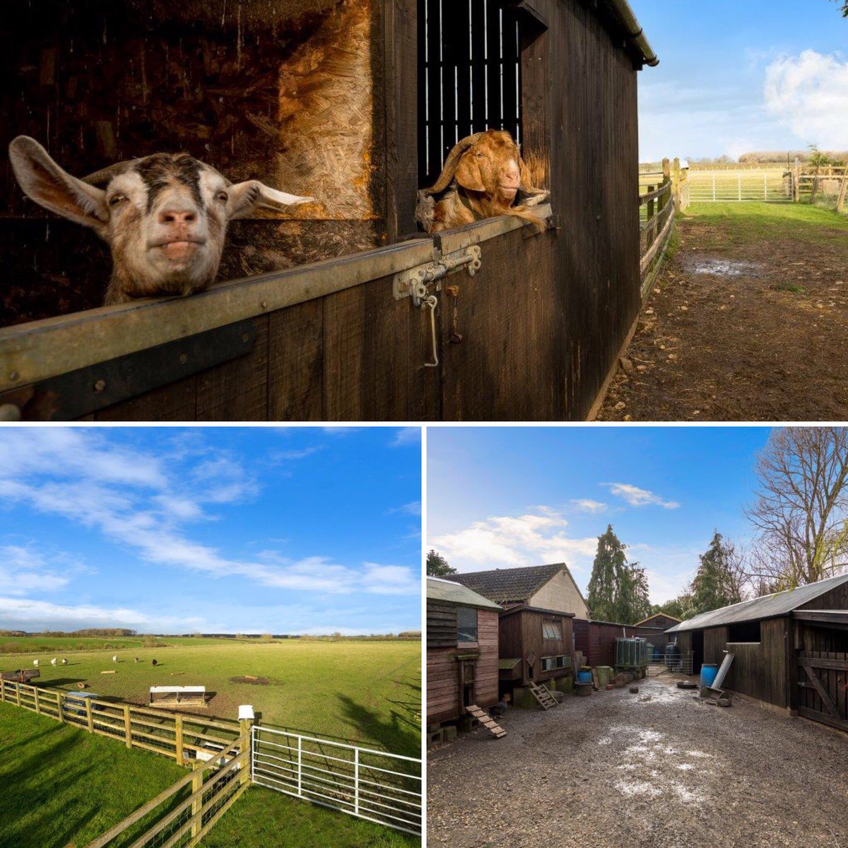 winknewark's tweet photo. *** NEW TO THE MARKET TODAY! A FOUR BED DETACHED PROPERTY IDEAL FOR THOSE SEEKING AN OUTDOOR LIFESTYLE INCLUDING APPROXIMATELY 13 ACRES OF LAND ***
 
Honeysuckle Cottage Stretton - £595,000
 
EPC E 
 
#land #acre #views #outdoor #lifestyle #buy #sell https://t.co/xaM1GiZY2P