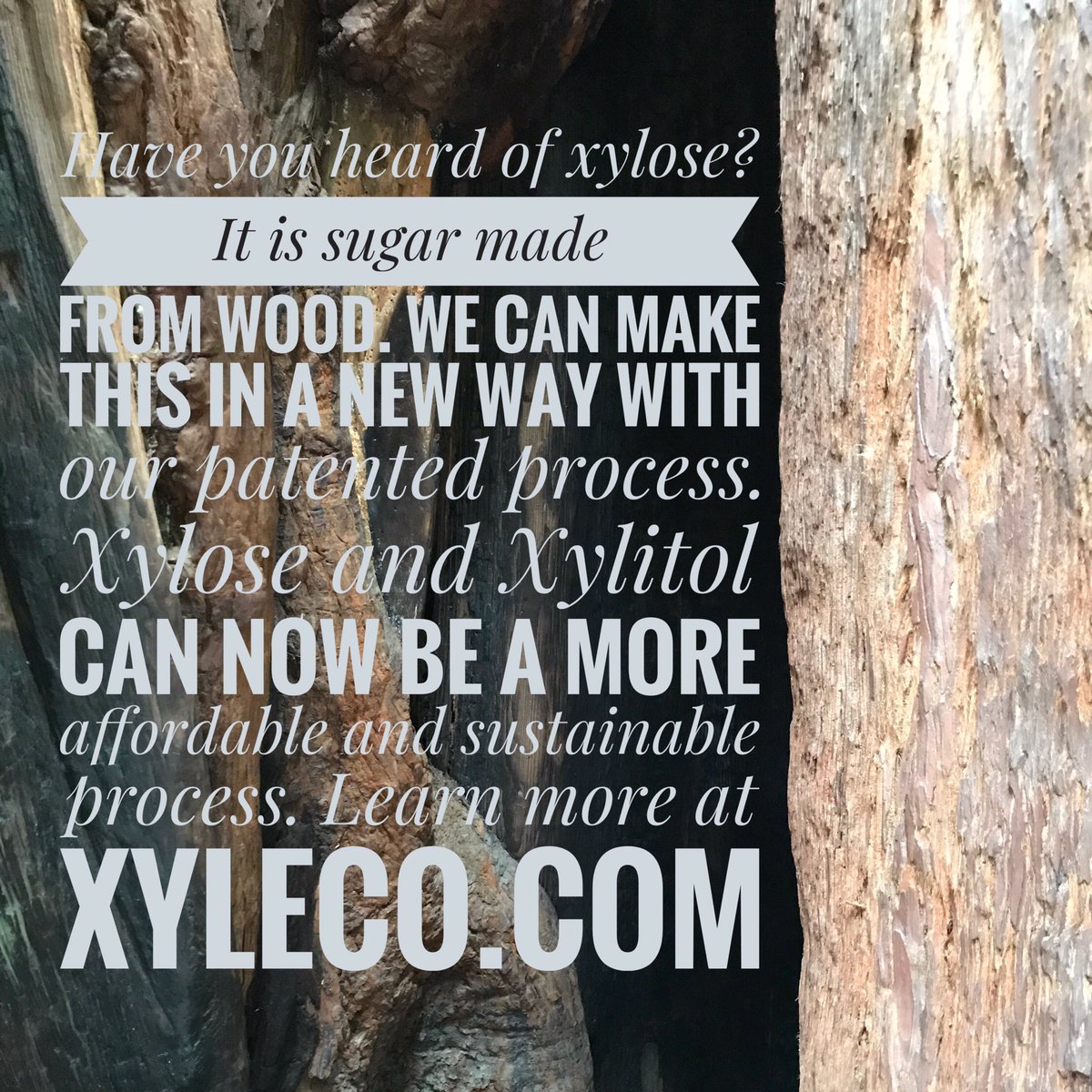 Xyleco, Inc. tweet media