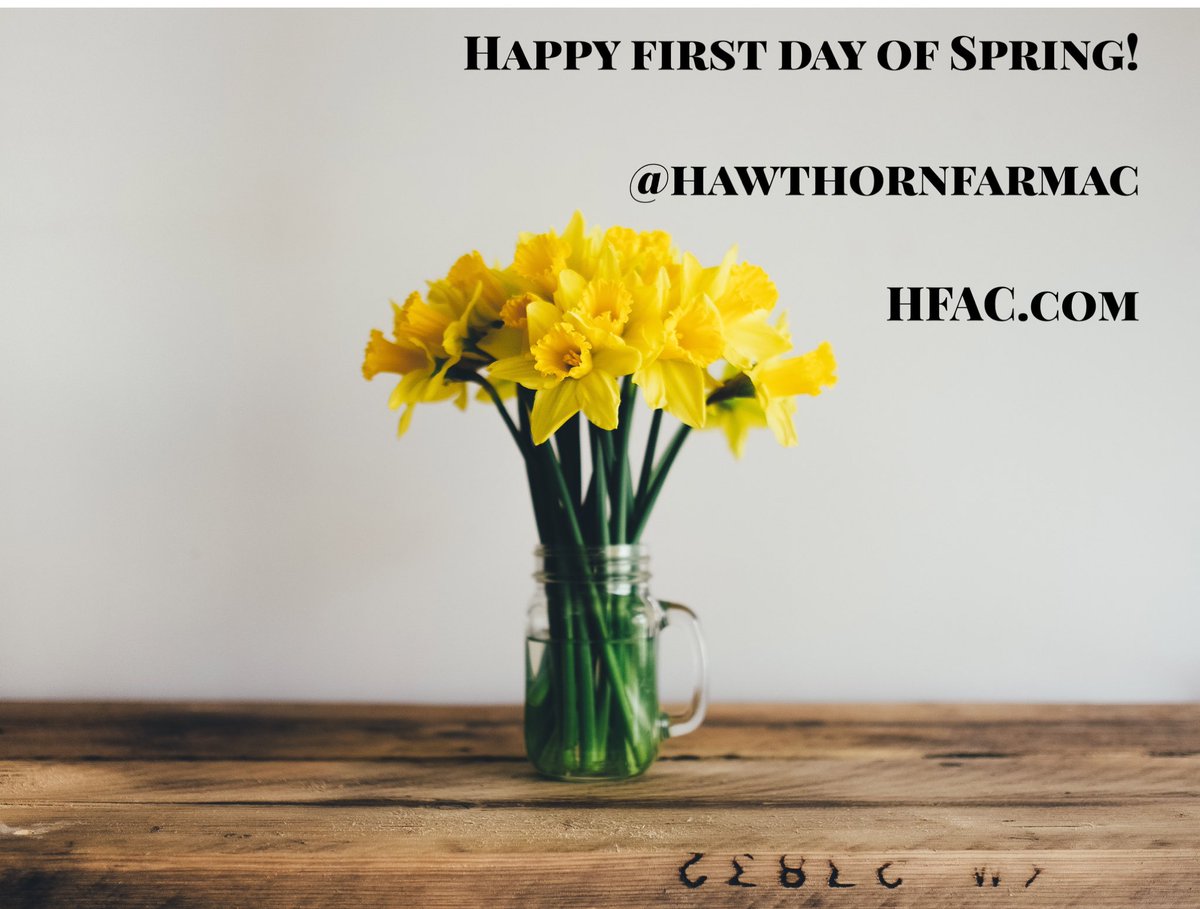 hawthornfarmac's tweet photo. Everyday is like spring at HFAC! Choose your challenge , we are there for you every step of the way! 
#springcamps
#simplyjoinhfac #wellness #meltmethodhfac #nia #gym #tkd #basketball #swimming #rockwall #trx #ihrsa #fitlife #oregon #hillsboro #hillsborooregon #groupexcercise https://t.co/GNgAsVdB8P