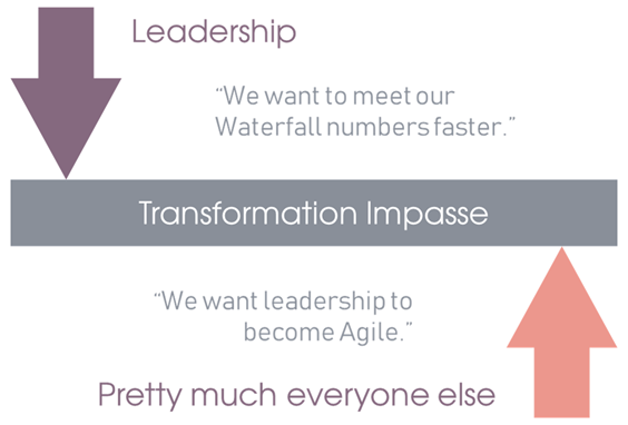 Joris Calabrese tweet media