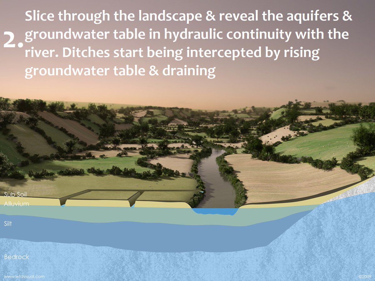 GeoscienceEA's tweet photo. Follow sequence - This is a typical #floodplain Cut a slice through it & reveal the #aquifers underneath #River water level & aquifer level are same level i.e. they are #hydraulically connected. Watch ditches fill as the groundwater table rises discharging back to river - Magic! https://t.co/WmMvq16ao0