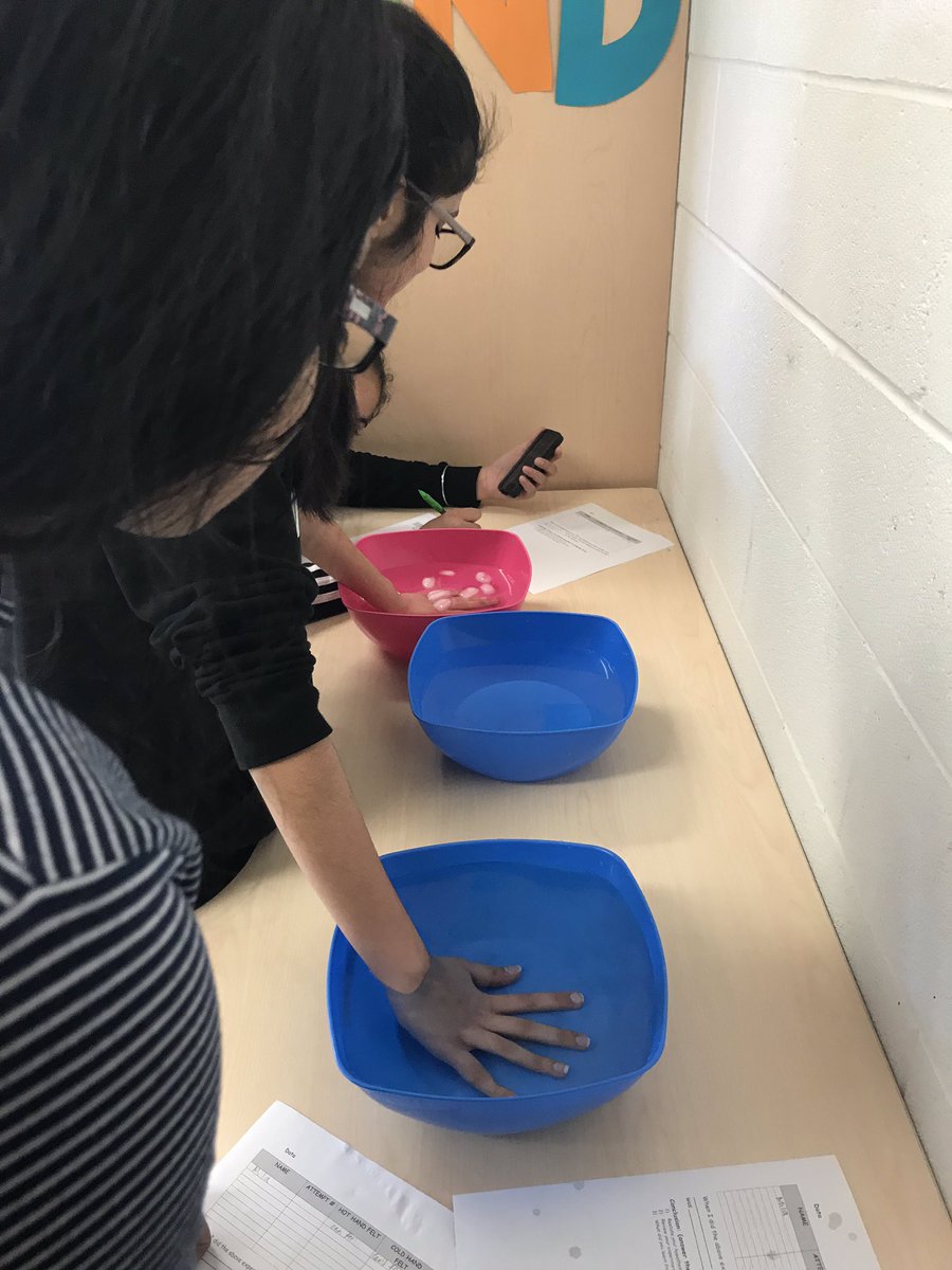 Marisa Mitchelmore (MsMitchelmore) Twitter