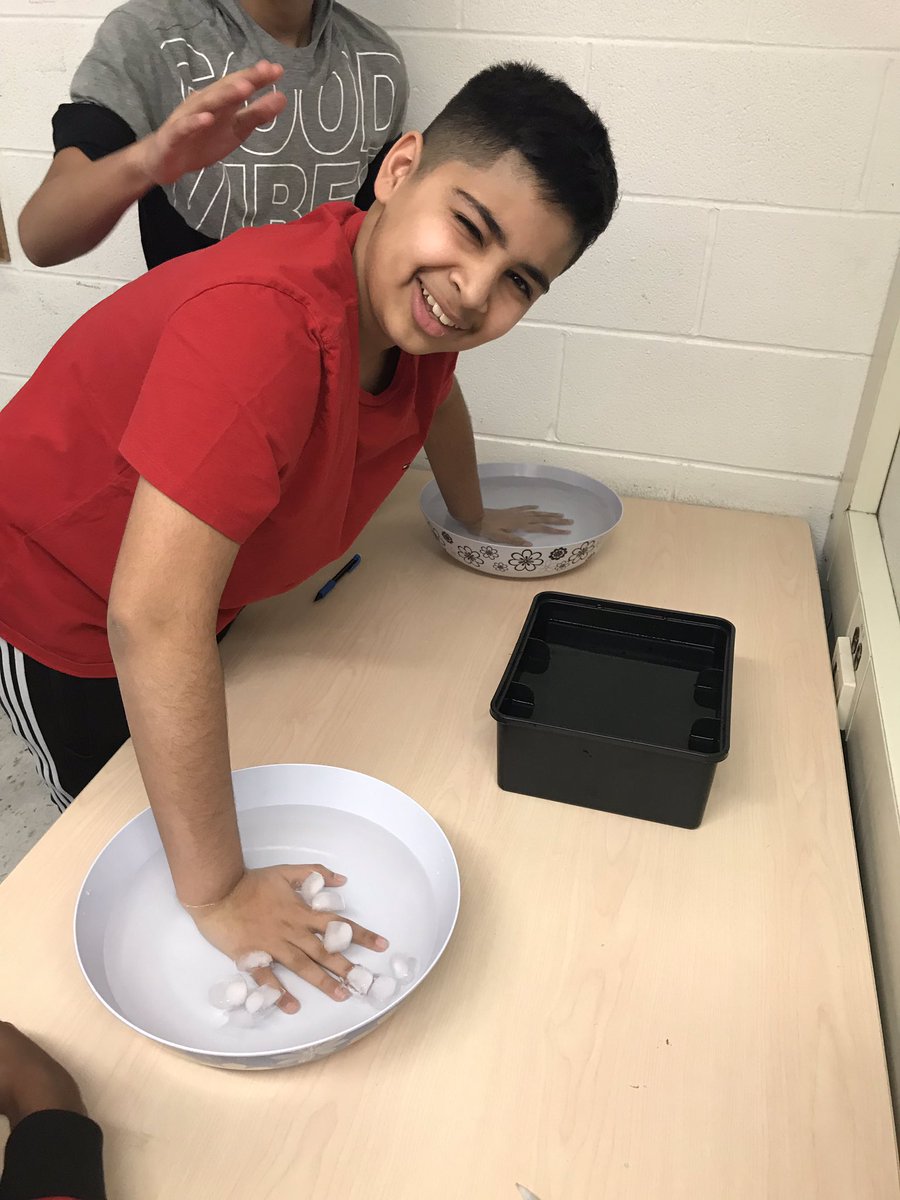 Marisa Mitchelmore (MsMitchelmore) Twitter