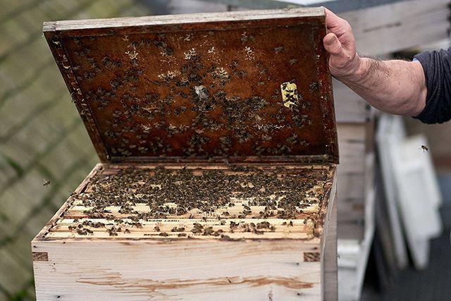 Following Dale the BeeKeeper from Bermondsey street bees @bstreetbees for some time now on instagram we finally had the opportunity yesterday to meet him and Sarah. What started as a meet and greet turned quickly into a extended honey tasting, beekeeper … ift.tt/2TkQwPm