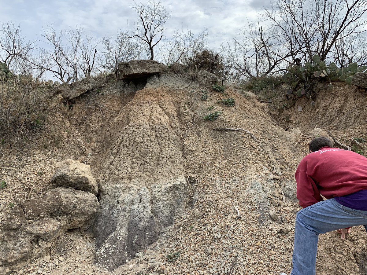 ThBryceisRight_'s tweet photo. When you spend part of spring break scouting for your upcoming @TexasOnRamps #Geoscience field trip with @sOSUhenderson. #teacherlife #iamwfisd #HendersonScience https://t.co/CjWrKsN5kU