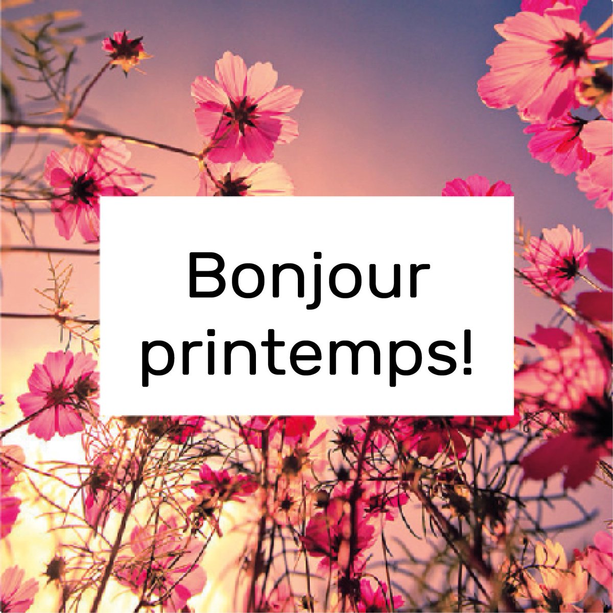 Velotour_SP's tweet photo. Ça y est, le printemps est arrivé 🌸

Le froid et la neige laisseront bientôt leur place à la douceur de cette belle saison!

Cyclistes, préparez-vous à sortir vos vélos! https://t.co/k9fjb0pnJP