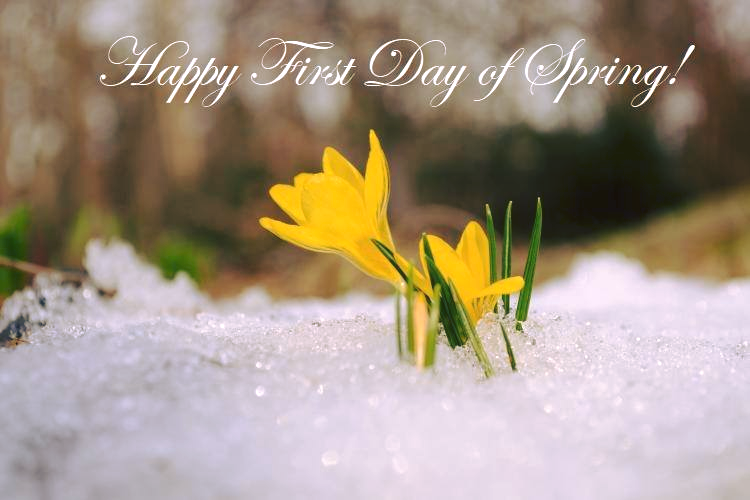 CWTech_Team's tweet photo. Today is the start of Spring! We at #CW hope you enjoy the warmer weather and have a great season! #SpringEquinox #FirstDayOfSpring https://t.co/7hqzkMNnNB