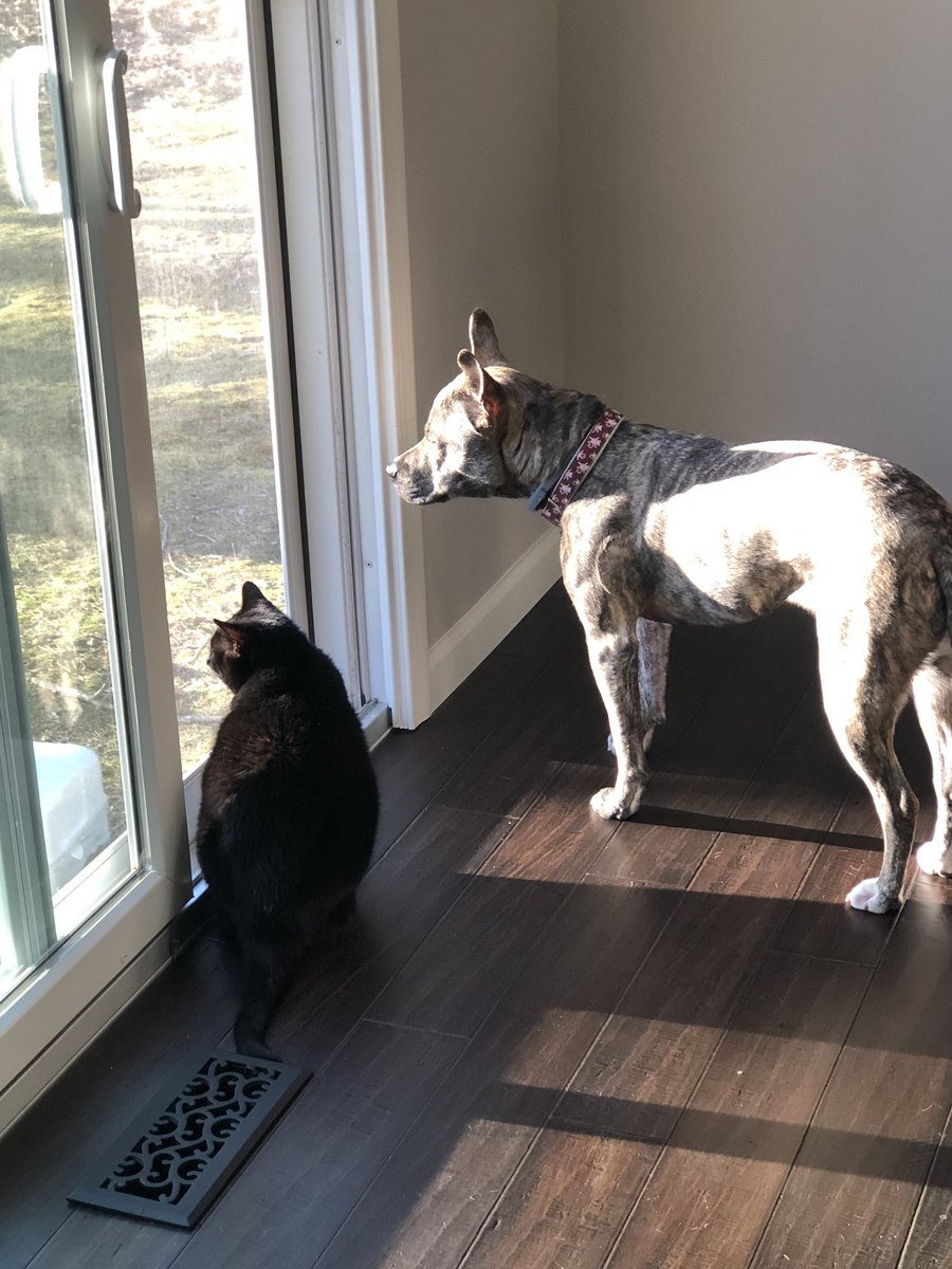 webasile's tweet photo. Everyone’s enjoying the sunshine and fresh air #firstdayofspring https://t.co/SL4mupeKOX