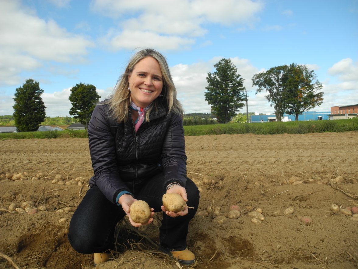 SpudSmartMag's tweet image. The effect of common scab on tubers partly depends on the potato cultivar. But how does the cultivar affect the pathogen? New research from AAFC's Claudia Goyer #AAFC #potato #commonscab #potatoresearch ow.ly/q9zv30o7BH1