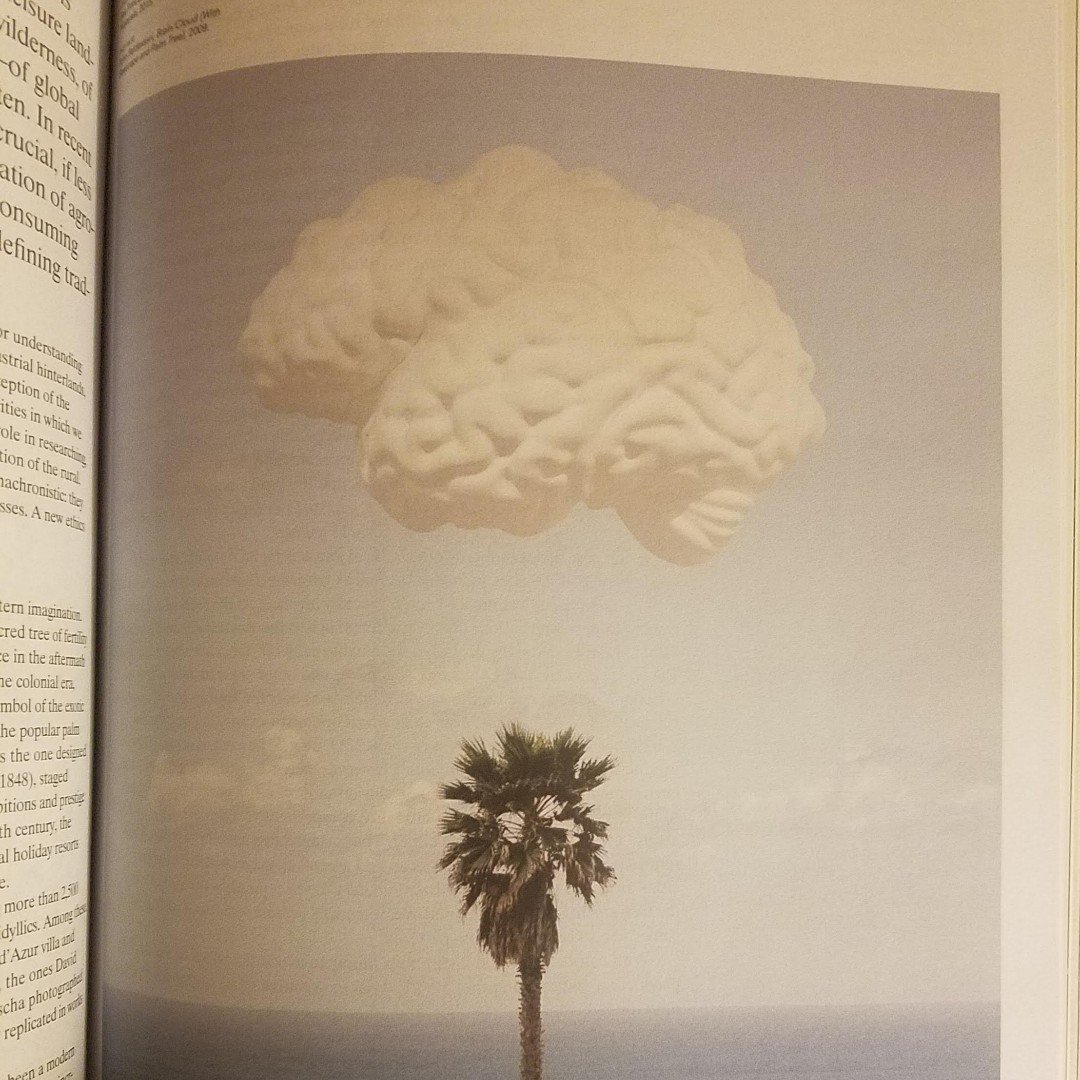 treeha_us's tweet photo. #Brain/#Cloud by John Baldessari. This image from Harvard Design Magazine's Into the #Woods captures the type of #mindful #intelligence that defines #TreeHAUS #operation and #controls. The #technology goes unnoticed as if it were already present in #nature. #SolarDecathlonDesign. https://t.co/LQKKKSU8p9