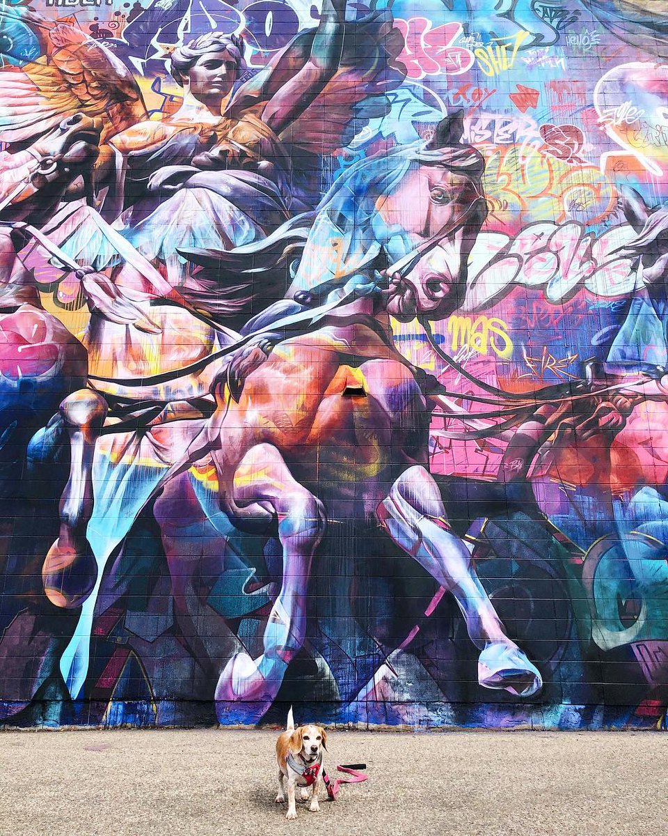 ExploreEdmonton's tweet photo. A6. We might be a bit biased but we think the murals that decorate the walls of the @CityofEdmonton host some of the most inspired work around! Check out local @lindork's guide: https://t.co/V98DMRNehm #CanadaChat #ExploreEdmonton https://t.co/83wkfDCtaP