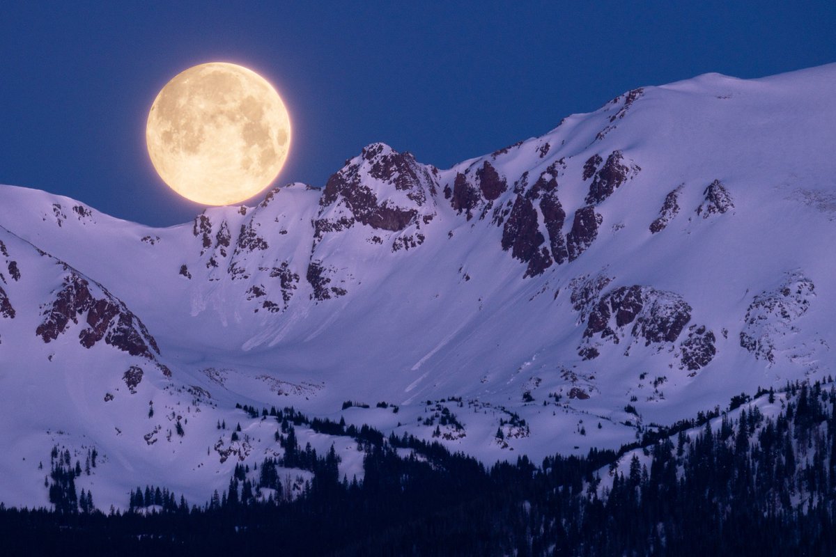 MattKloskowski tweet media