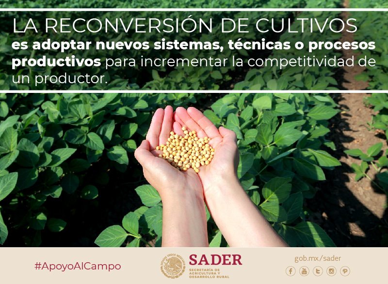 Secretaría de Agricultura y Desarrollo Rural tweet media