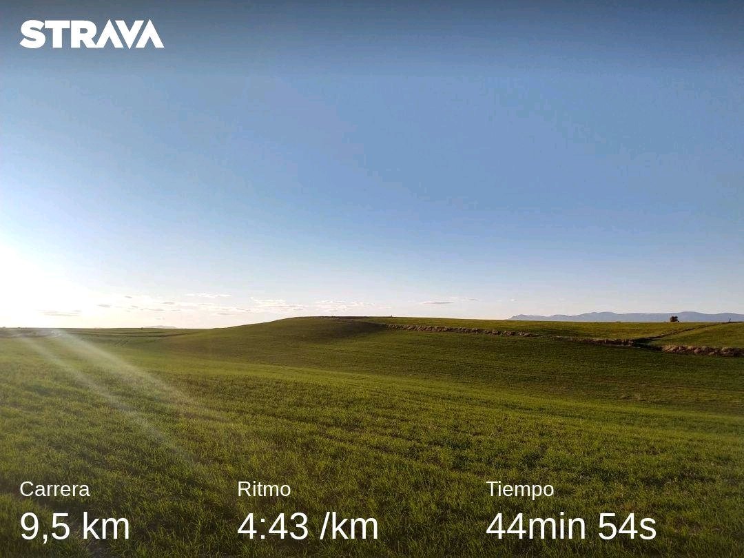 Torres_Run's tweet image. Pues que te pones a correr y llegas a Windows... #MAPOMArunners