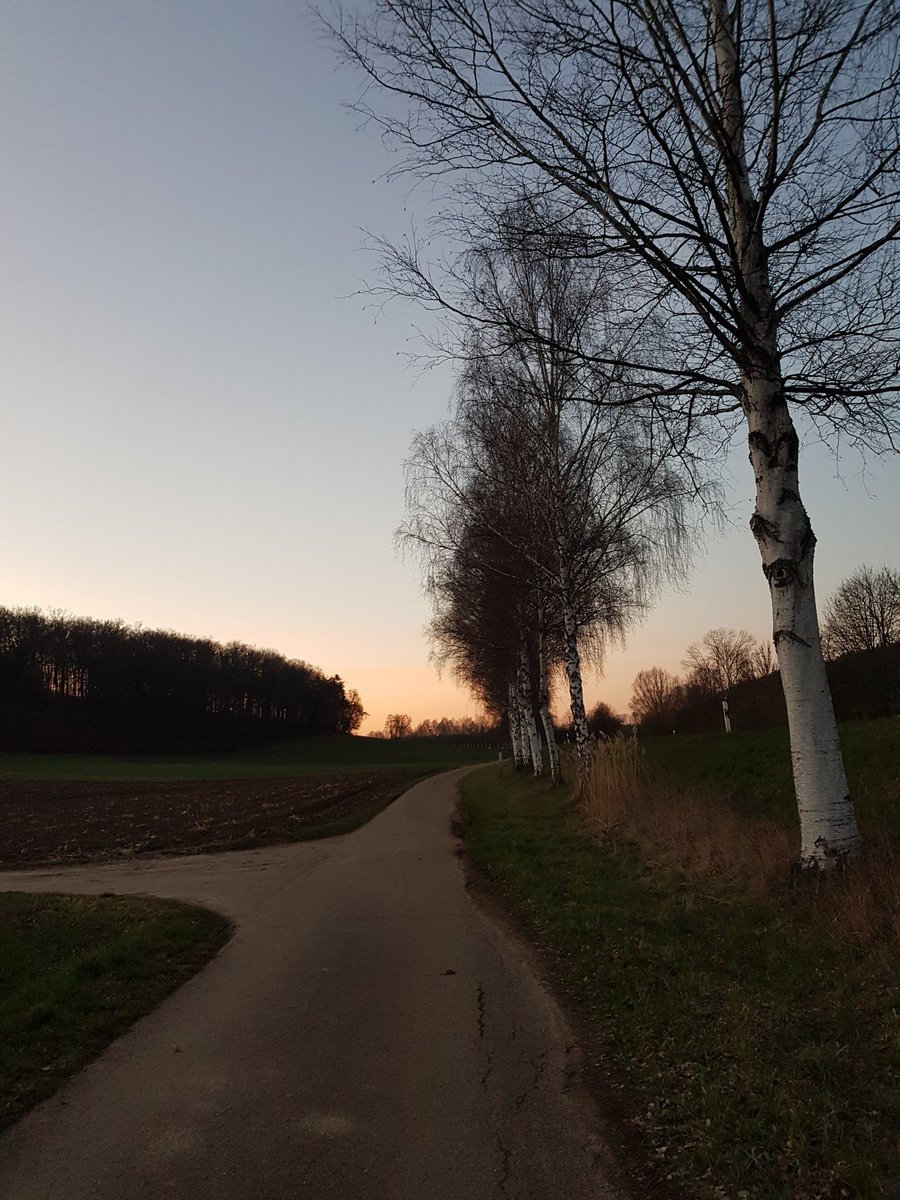 This is why I love #afterwork runs! 😍