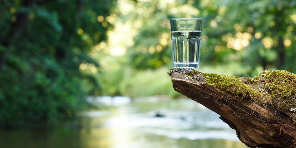 DogwoodAlliance's tweet photo. The Trump Administration’s move to rollback the #CleanWaterAct would remove protections from over half our wetlands, threatening the wetland forests that we rely on for clean air, water, and climate protection. Tell the @EPA to #DefendWater &amp; wetlands - https://t.co/ZtY1tqtEsh https://t.co/5SwVYeiBGQ