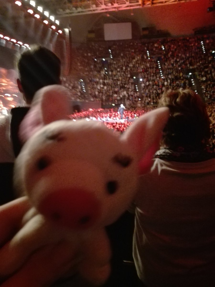 KatharinaTrger1's tweet photo. Ja wer hat sich da aufs Konzert geschmuggelt 😊😍😂 #pigture #pigontour #pigbert #pigmeyer #scharti #pigli #pig #Grönemeyer #herbert #munich #olympiahalle #münchen #soschön #herbertgrönemeyer https://t.co/fXWOd8nbhv