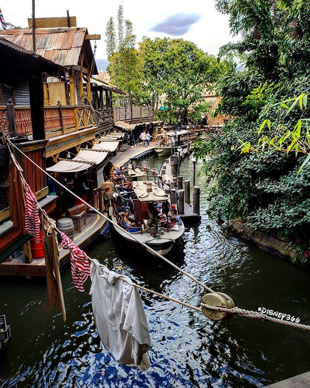 Disney366's tweet photo. Day 2636: The decision to go upstream can put you in a #PairOfDocks.
#Disney366 @@Disneyland @@DisneylandToday -
LOCATION:
#JungleCruise #WorldFamousJungleCruise #Adventureland #Disneyland -
DISNEY:
#Disneyland366 #Disney2019 #Disneyland2019 #DisneyTi… https://t.co/BowLC6JvAh https://t.co/u0kGJqF7WA