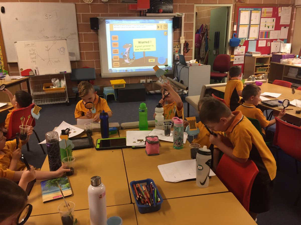 #STEM <a href="/NSWEducation/">NSW Dept of Education</a> <a href="/BangorPS/">bangor_ps</a> #Kindergarten #greenthumb <a href="/craigsnudden/">craig snudden</a>