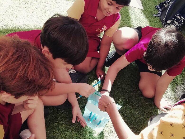 RWA_Primary's tweet photo. In the KG2 Young Scientists Club CCA the students made a Magic Plastic Bag! #rwaccas #rwascience @RWADubai #scienceisfun #rwakg2 https://t.co/bmdTlNPgIC