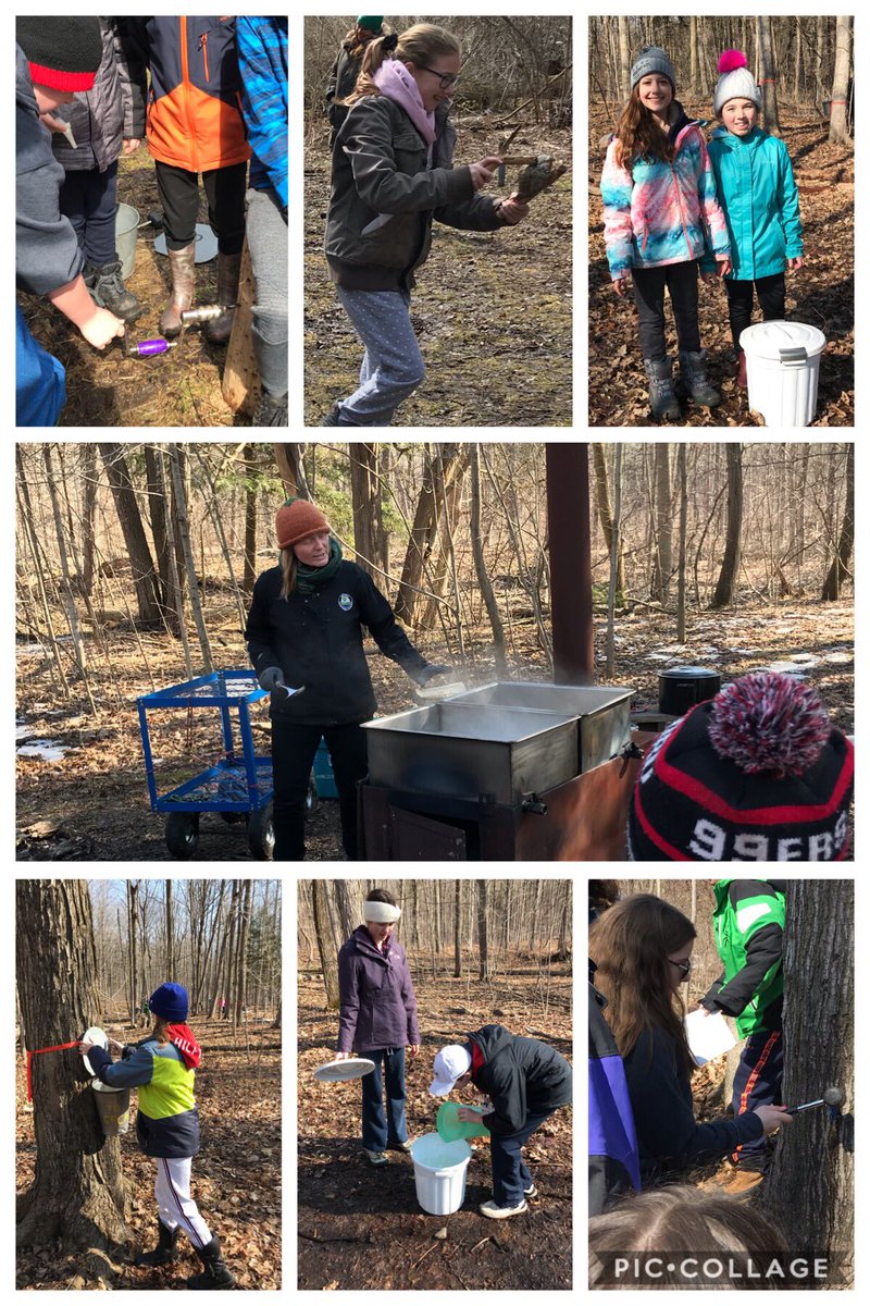 stefaniepgarner's tweet photo. Happy first day of Spring!! #AppsMill #syrup #tapping @olopcatholic https://t.co/J9ktJqyuDm