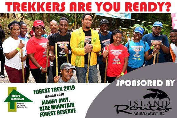ForestryDeptJa's tweet image. TREKKERS, ARE YOU READY?

We believe that life is an adventure that should be filled with fun experiences and that’s why we are delighted to have @IslandRoutes on board as one of our Forest Trek 2019 sponsors.
...
#SponsorHighlight
#ForestTrek2019
#ForestryDeptJa
#OutdoorLife