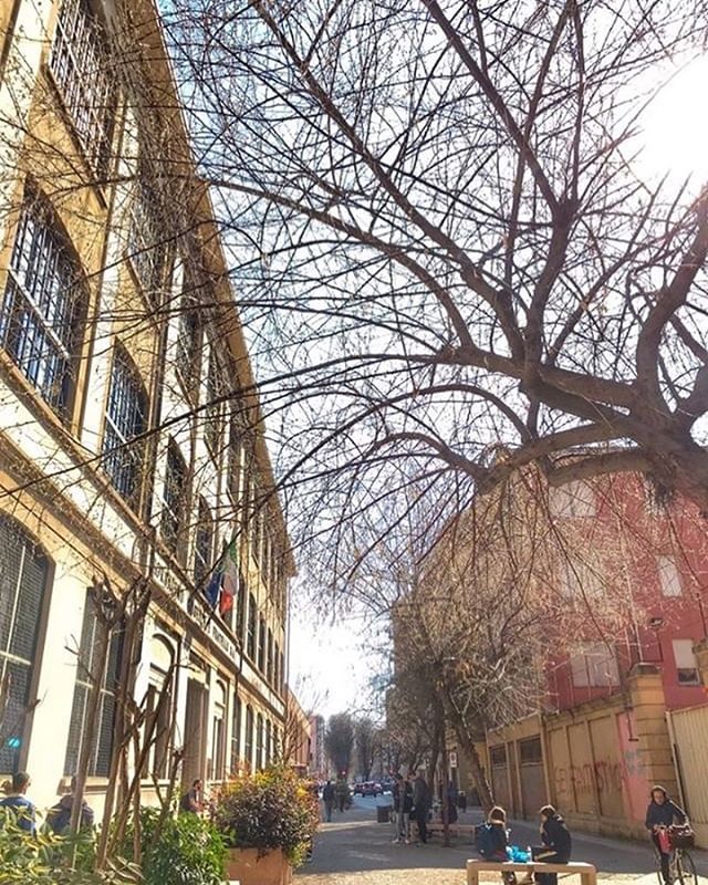UniAvogadro's tweet photo. L’angolo alessandrino di @valenovokhatskaya
#angoliupo #uniupo #alessandria #digspes https://t.co/ulv2DxUmgt https://t.co/zzMC998USB