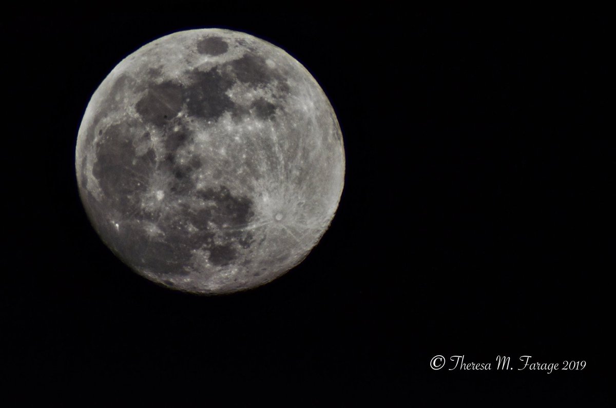 theresa farage (@bobokity) on Twitter photo 