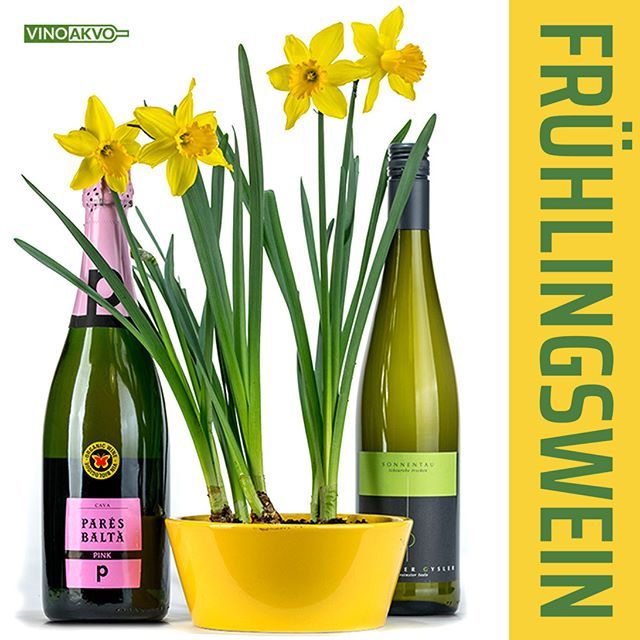 coolveela's tweet photo. Entdecke unsere Frühlingsweine! Tolle Spargelweine, Terrassenweine, leckere Rieslinge, Weiss- und Grauburgunder, feine Chardonnays! Und für jede verkaufte Flasche Wein wird eine Flasche Wasser gespendet! Kauf Wein und tu was Gutes!
-
-
❤️💧❤️💧❤️💧❤️💧❤️… https://t.co/Pies2N881t https://t.co/ILtLDLRYM3