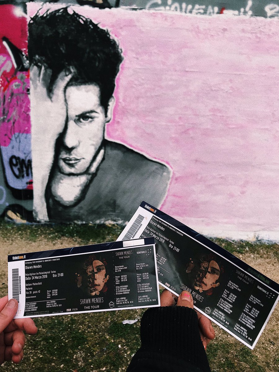 _bebawilliam_'s tweet photo. @shawnmendes we made this mural out of desperation because we couldn’t get your M&amp;G💔but mostly, to show you our big support and  to give you a warm welcome to Turin,-4 and we will see you in live!hoping to be able to hug you some way this Sunday 😭#MendesArmyTurin @ShawnTeamITA https://t.co/e4JZRPWU2i