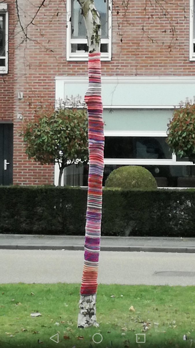 nnetjacobs's tweet photo. Een berk, dat is toch zo'n boom met streepjes? #wildbreien #temporarystreetart https://t.co/GMxncJanht