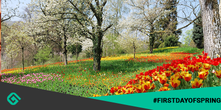 GeekerMedia's tweet photo. Happy #FirstDayOfSpring! Why not celebrate this day by reading 'Spring Fling' by Cathryn Fox, Lauren Hawkeye? Join #geeker and take this book with you, spend this day in the park or near a river! https://t.co/qBUKfrGFpn