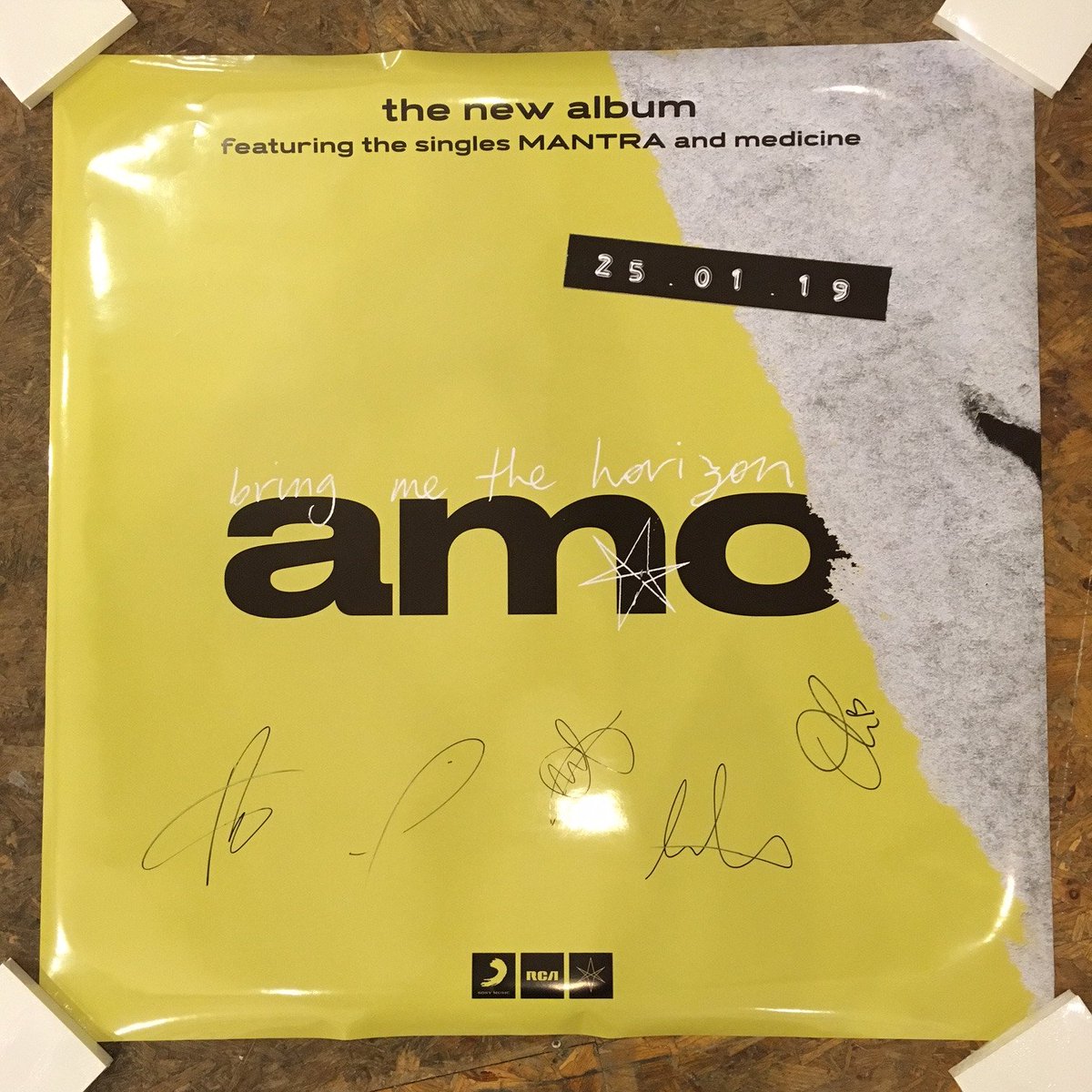 Bear Tree Records tweet media