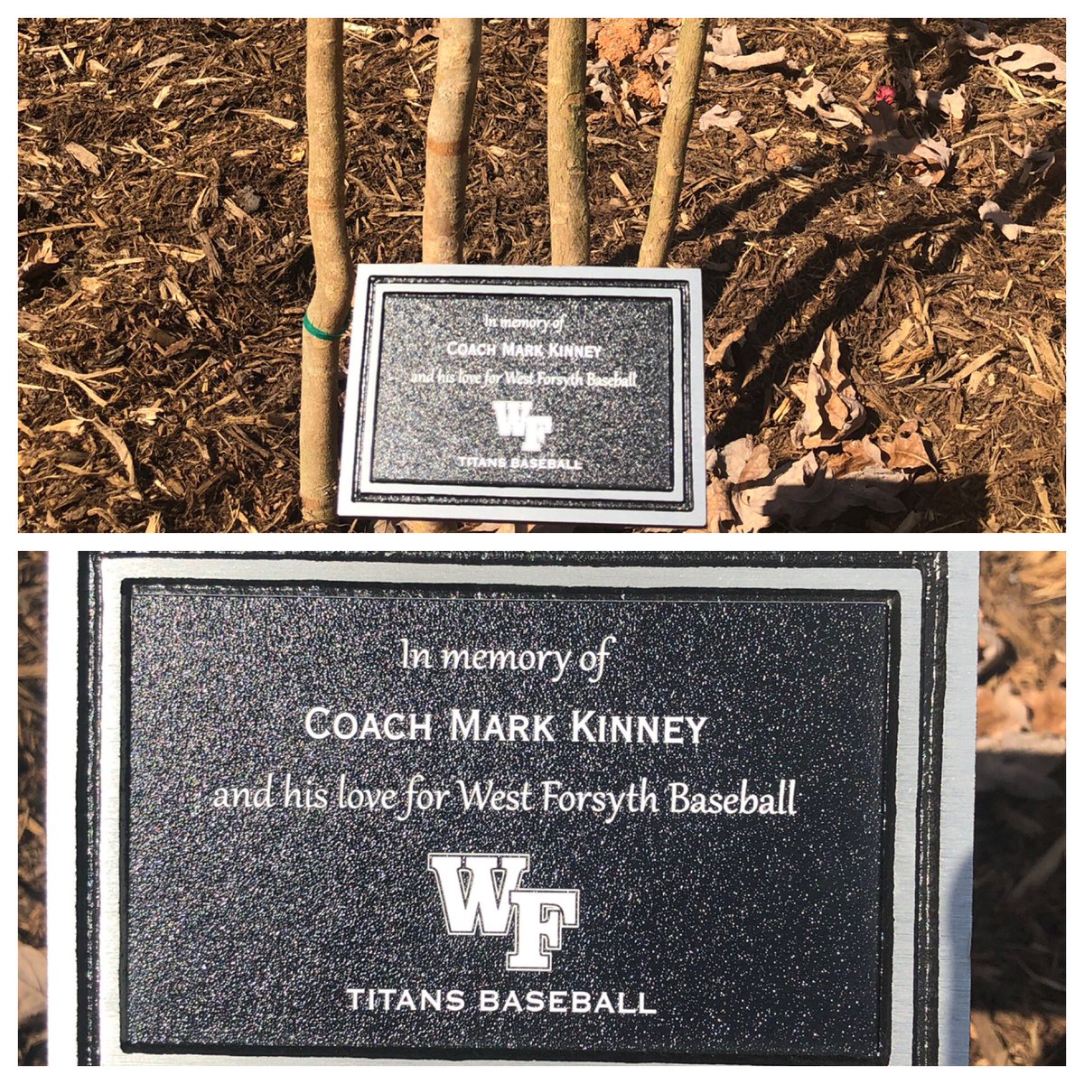 Titan Baseball tweet media