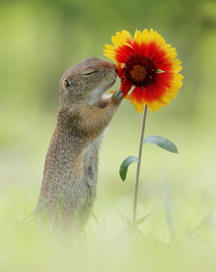 Bianca15048017's tweet photo. @KarenBarryDavi1 Thank you so much dear Karen
I wish you a wonderful Thursday
Filled with happiness 🌿🌿🥀 https://t.co/GFAEQ9KDom