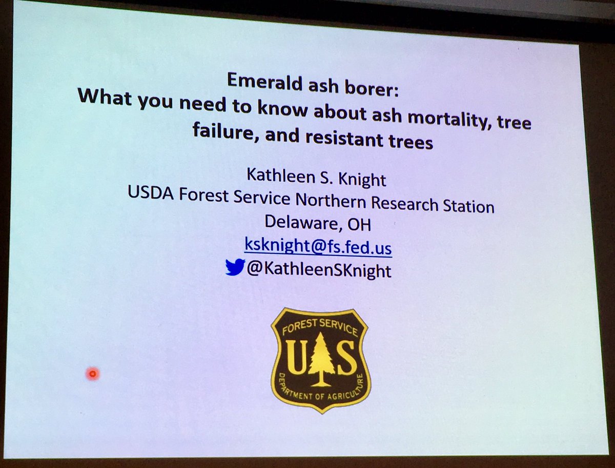 KathleenSKnight's tweet photo. I’m speaking with tree care professionals about emerald ash borer #EAB at the MN Shade Tree Short Course #MNSTSC. https://t.co/Ls4yGk9vDz
