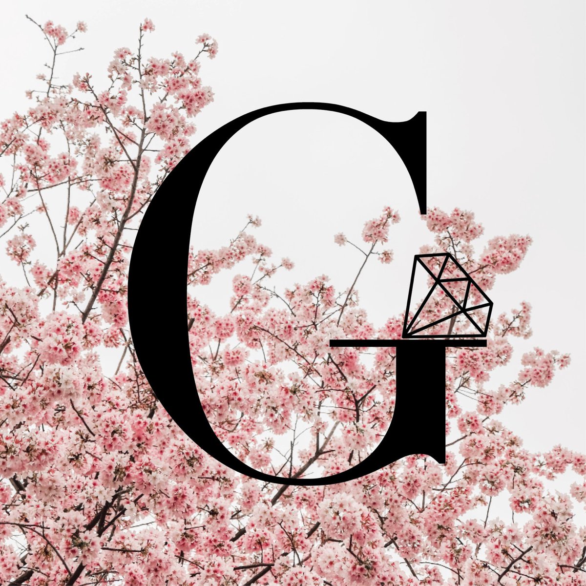GodivaMagazine's tweet photo. 📣ANNOUNCEMENT📣 Godiva Music Magazine will launch THIS FRIDAY at 6pm! 🤩
#Announcement #LaunchDay https://t.co/QkrpYyNSKj