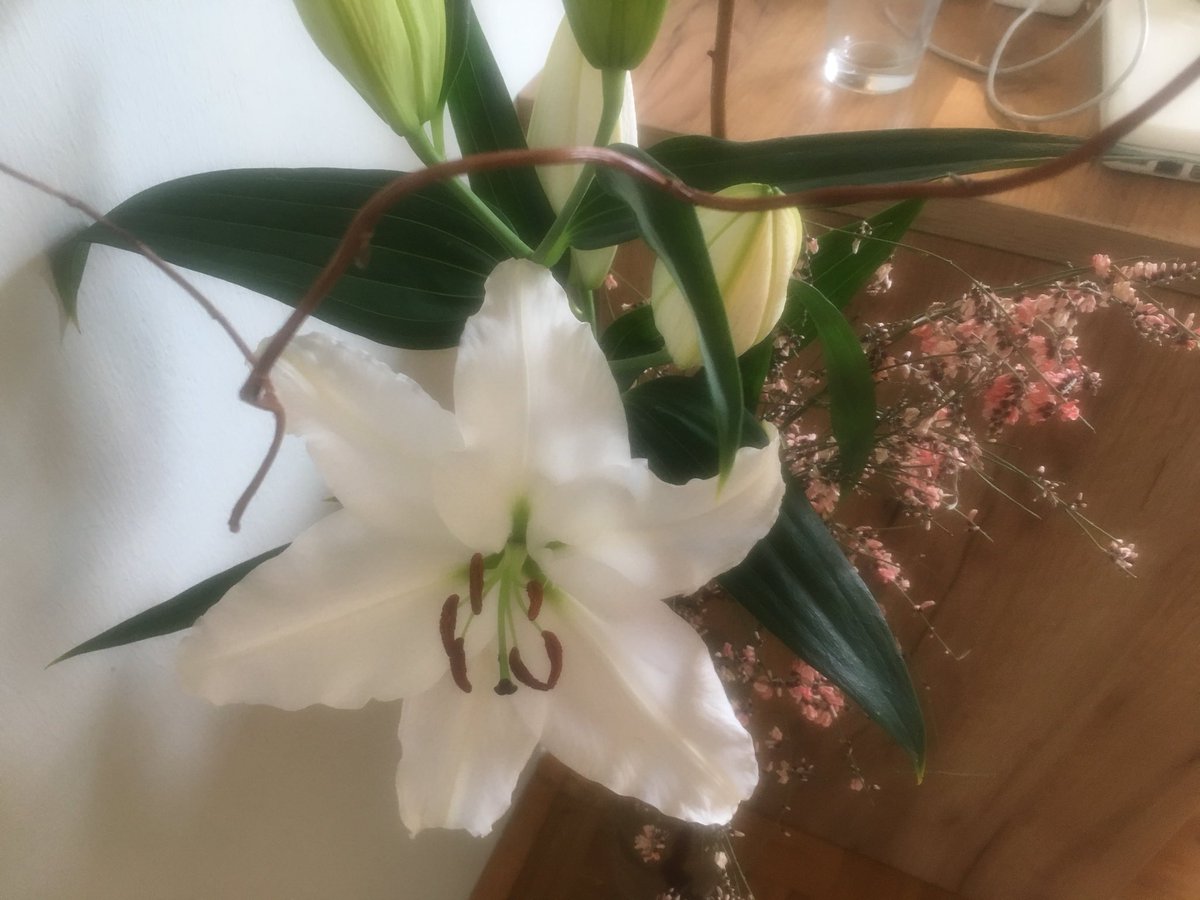 Guildeforge's tweet image. A flower is happy to bloom...that’s its path, its #destiny...do right by yourself and be the flower you really are #emc4success #heartintelligence