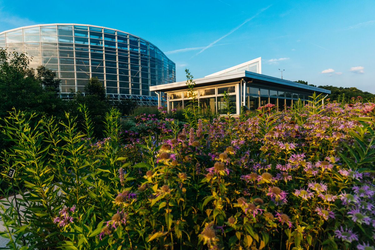Quartz (@qz) on Twitter photo The Center for Sustainable Landscapes at the Phipps Conservatory in Pittsburgh (<a href="/PhippsNews/">Phipps Conservatory and Botanical Gardens</a>) is one of the world's greenest buildings. Read more and explore the building here: bit.ly/2TMrxK5 The Center for Sustainable Landscapes at the Phipps Conservatory in Pittsburgh (<a href="/PhippsNews/">Phipps Conservatory and Botanical Gardens</a>) is one of the world's greenest buildings. Read more and explore the building here: bit.ly/2TMrxK5
