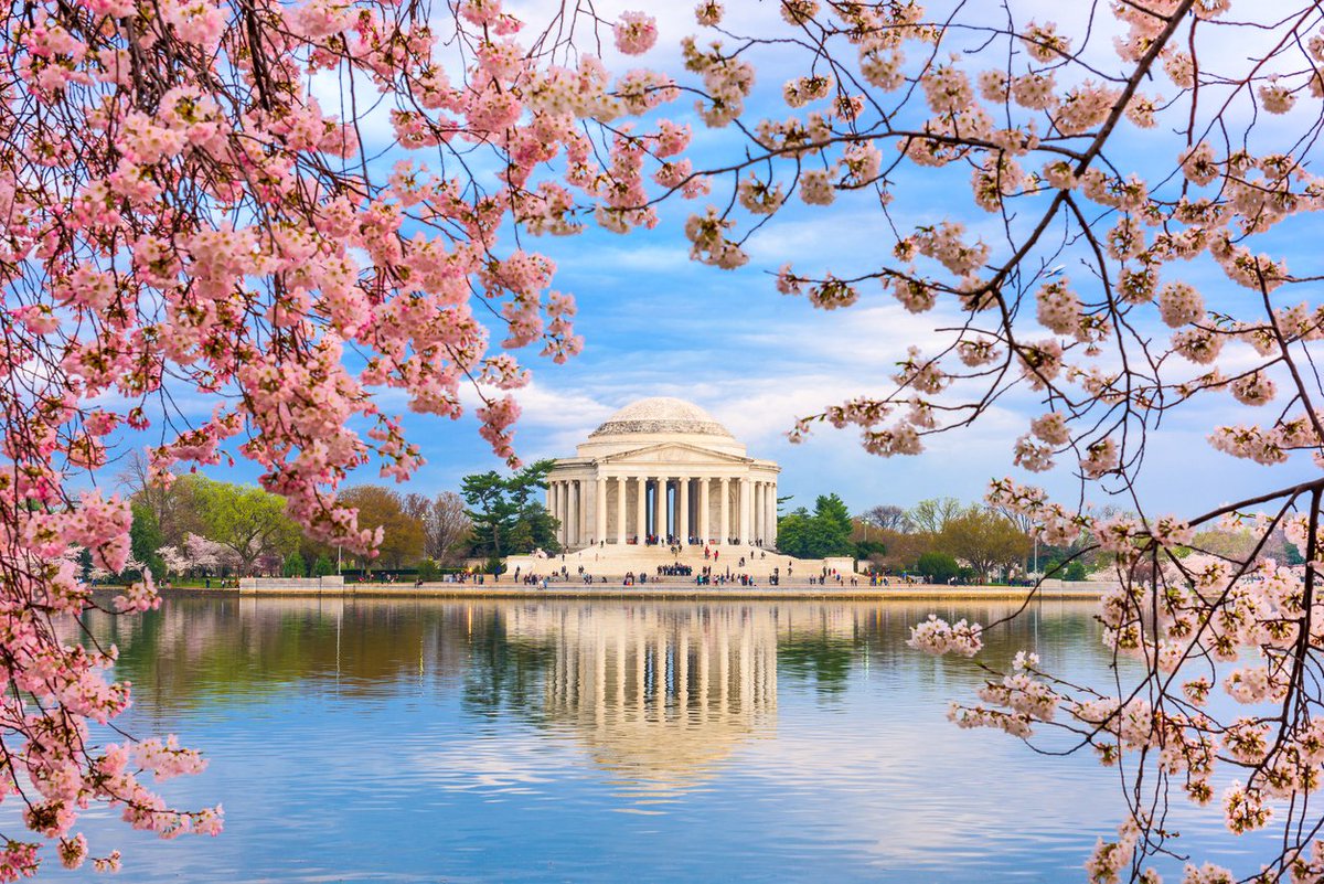 weborion's tweet photo. Enjoy #firstdayofspring 2019, stay warm and secure.
#weborion #cybersecurity https://t.co/73N2zfDTP6
