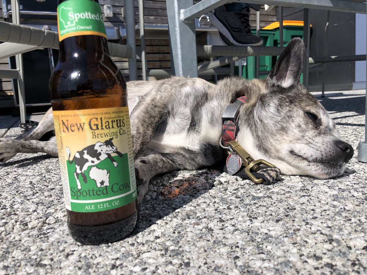 christianeabc's tweet image. We’ve earned it. #minnesotaspring