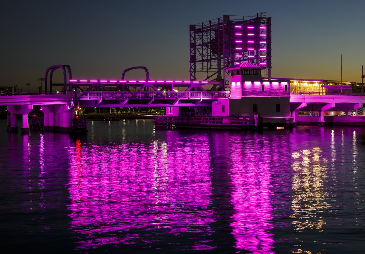 CityofTampa's tweet image. Love seeing the bridges in @TampasDowntown lit up at night? We've added one more! The Fortune Taylor Bridge now has permanent lighting as part of our ongoing Lights on Tampa Program! The next Lights on Tampa is scheduled for November 2020. More info: bit.ly/2HvFky2